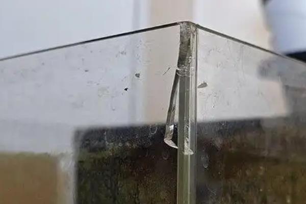 鱼缸底部轻微渗水怎么处理，需要进行修补