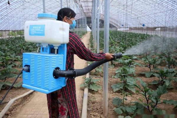 菜青虫的防治方法，喷施灭幼脲1号、50%辛硫磷等药物均可灭杀