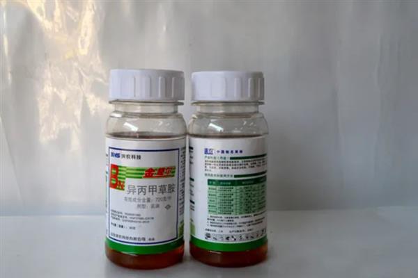 玉米除草剂的使用注意事项，需根据玉米品种合理用药
