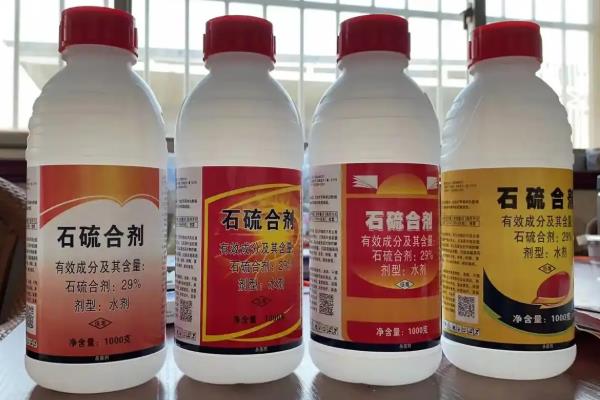 柚子树怎么防治病虫害，主要病害有黄龙病、溃疡病等