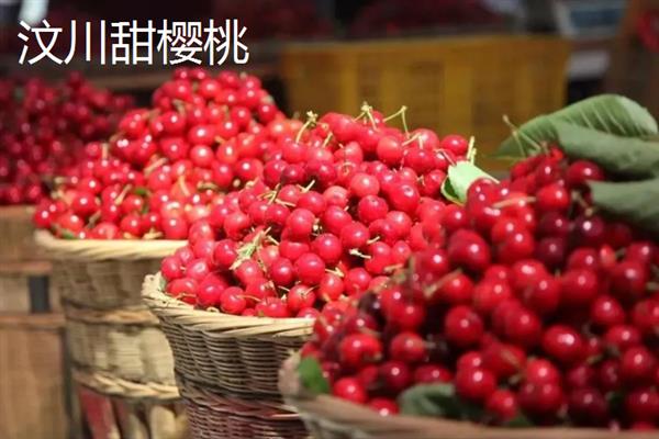 汶川的特产有哪些，有脆红李、甜樱桃、三江土腊肉等