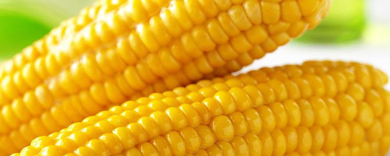 安科985玉米品种简介，大喇叭口期灌心叶防治玉米螟虫
