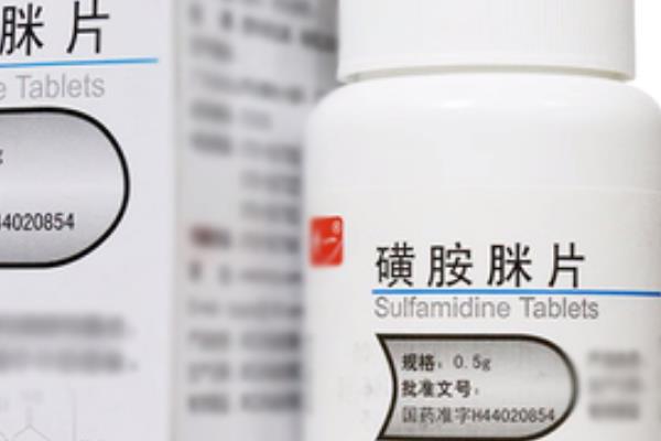 秋季怎么给肉牛育肥，饲喂多汁的青贮饲料