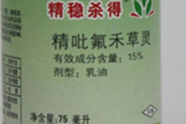 豆角田使用什么除草剂，防治禾本科杂草可选择拿捕净乳油