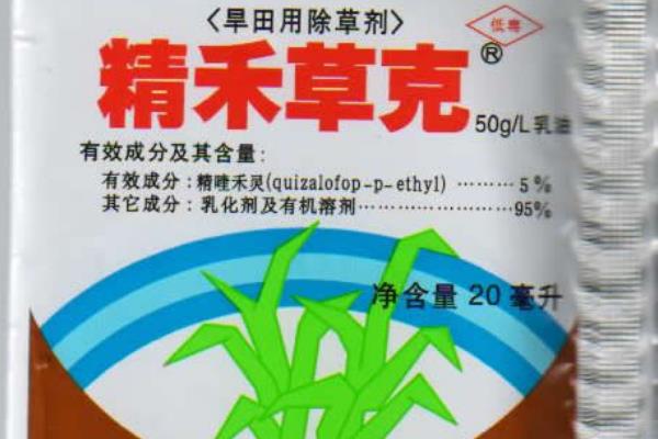 豆角田使用什么除草剂，防治禾本科杂草可选择拿捕净乳油