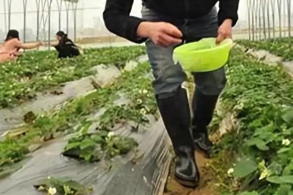 多肽尿素的简介，生产时添加了聚天门冬氨酸和柠檬黄颜料