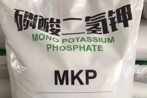 根外追肥的常用肥料，常见的有尿素、过磷酸钙等