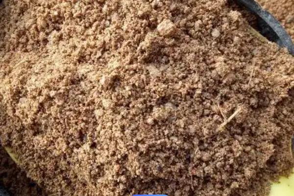 多肉植物怎么叶插繁殖，应选在春秋两季进行