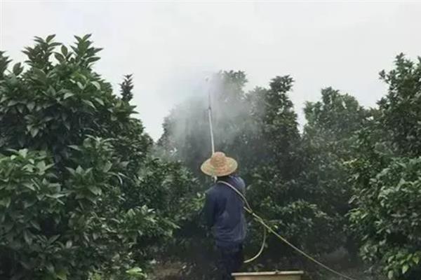 苯醚甲环唑的防治对象，以白粉病、黑星病等病害为主