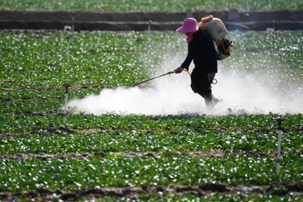 苯醚甲环唑的防治对象，以白粉病、黑星病等病害为主