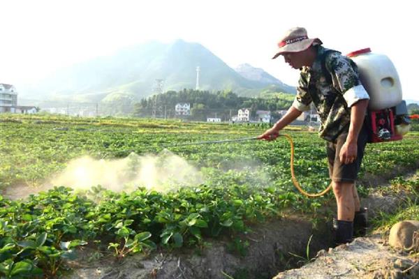 苯醚甲环唑的防治对象，以白粉病、黑星病等病害为主