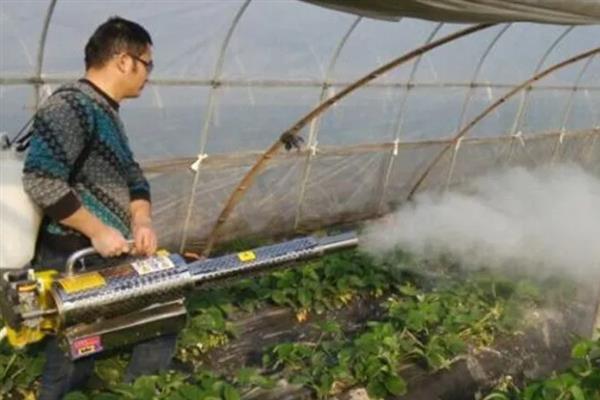 苯醚甲环唑的防治对象，以白粉病、黑星病等病害为主