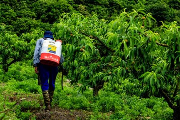 尿素的主要成分，以碳、氮、氧等物质为主