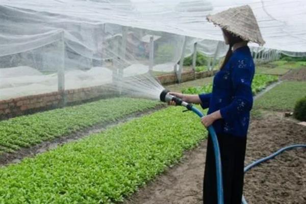 什么是有机标准，是一种不用化肥、农药添加剂的生产体系