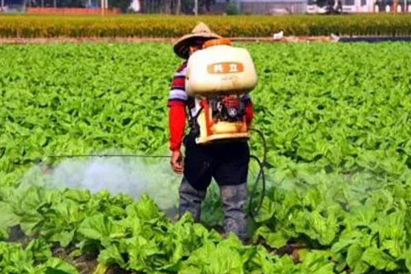 什么是有机标准，是一种不用化肥、农药添加剂的生产体系