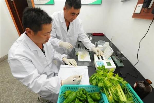 怎么认证无公害农产品，符合生产要求即可向农业行政主管部门申请认定
