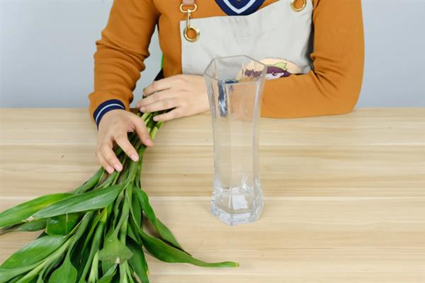 水培富贵竹长得太高如何处理，从植株基部向下斜剪可降低株高