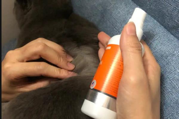 猫癣的治疗方法，涂抹复方酮康唑软膏可治疗常见的皮肤病感染