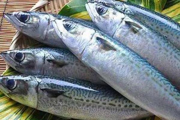 9月吃什么海鲜好，可以吃鲍鱼、皮皮虾等