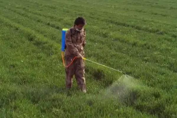 除草剂分类，分为选择性除草剂、触杀型除草剂等类型