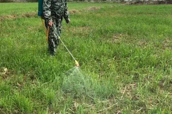 除草剂分类，分为选择性除草剂、触杀型除草剂等类型