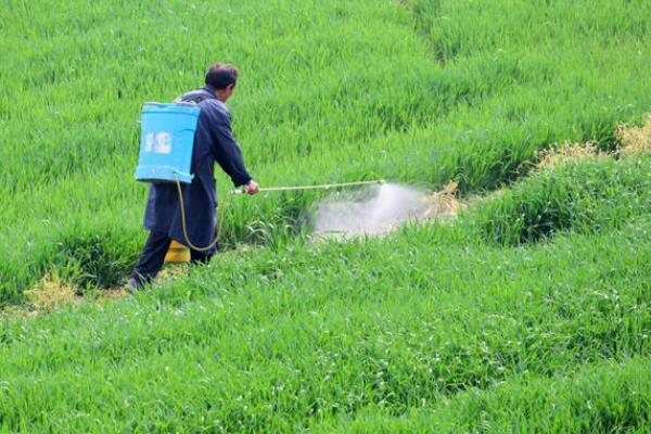 除草剂分类，分为选择性除草剂、触杀型除草剂等类型