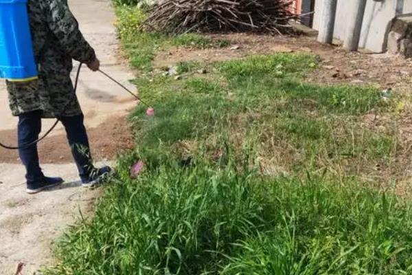 除草剂分类，分为选择性除草剂、触杀型除草剂等类型