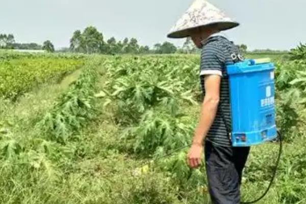除草剂分类，分为选择性除草剂、触杀型除草剂等类型