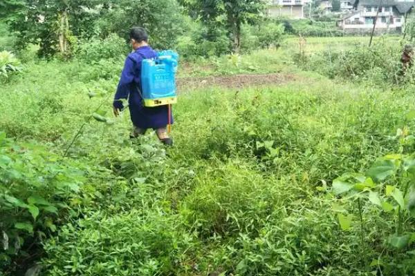 除草剂分类，分为选择性除草剂、触杀型除草剂等类型