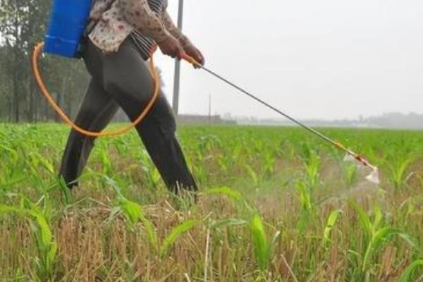 除草剂分类，分为选择性除草剂、触杀型除草剂等类型