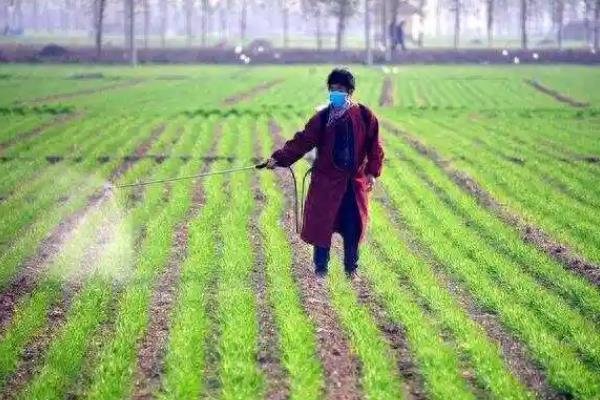 除草剂分类，分为选择性除草剂、触杀型除草剂等类型