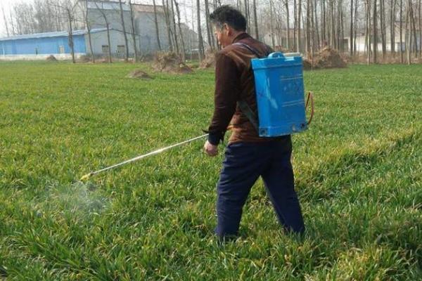 除草剂分类，分为选择性除草剂、触杀型除草剂等类型