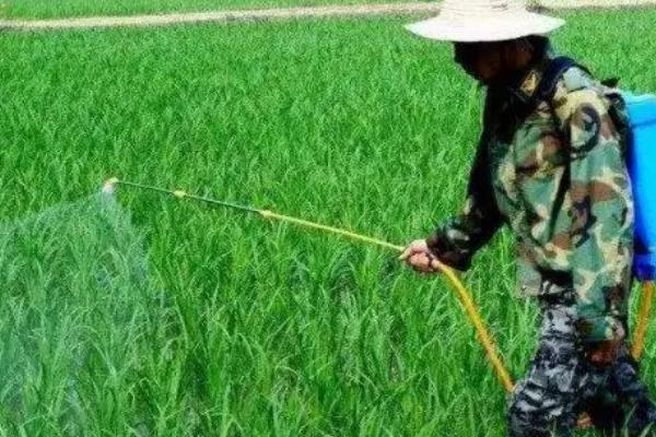 除草剂分类，分为选择性除草剂、触杀型除草剂等类型