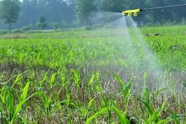 除草剂分类，分为选择性除草剂、触杀型除草剂等类型