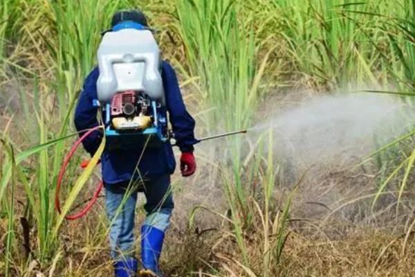 除草剂分类，分为选择性除草剂、触杀型除草剂等类型