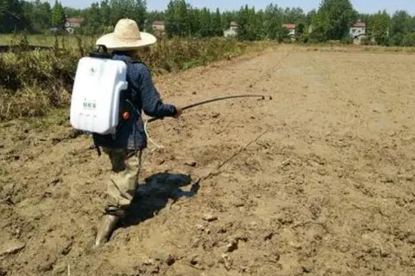 除草剂分类，分为选择性除草剂、触杀型除草剂等类型
