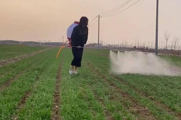 除草剂分类，分为选择性除草剂、触杀型除草剂等类型