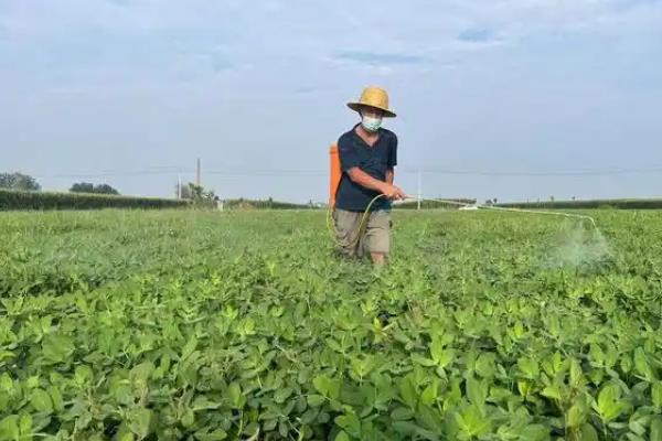 除草剂分类，分为选择性除草剂、触杀型除草剂等类型