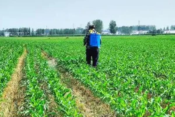 除草剂分类，分为选择性除草剂、触杀型除草剂等类型