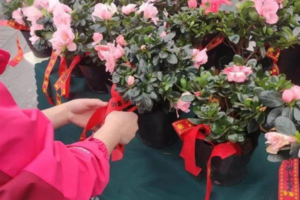 佛前供花的数量，2-3支较合适
