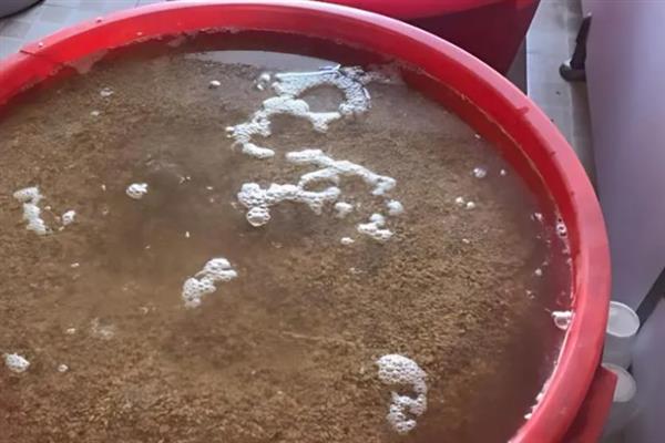 水稻育秧种子农药技巧，推荐以下10种