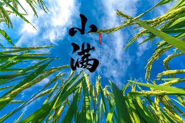 小满里面的满是不是指满月，意思是夏熟作物的籽粒逐渐饱满
