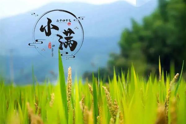小满里面的满是不是指满月，意思是夏熟作物的籽粒逐渐饱满