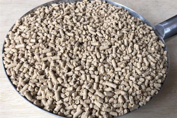 养殖青鱼喂哪些饲料，一般选择颗粒饲料、配方饲料