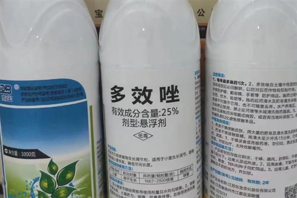 多效唑能否与乙烯利混用，使用时要兑水稀释