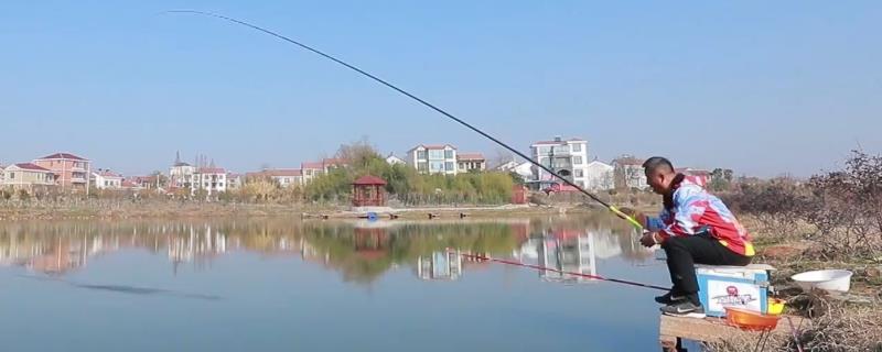 春天怎么钓鲫鱼，早春应该优先考虑钓底
