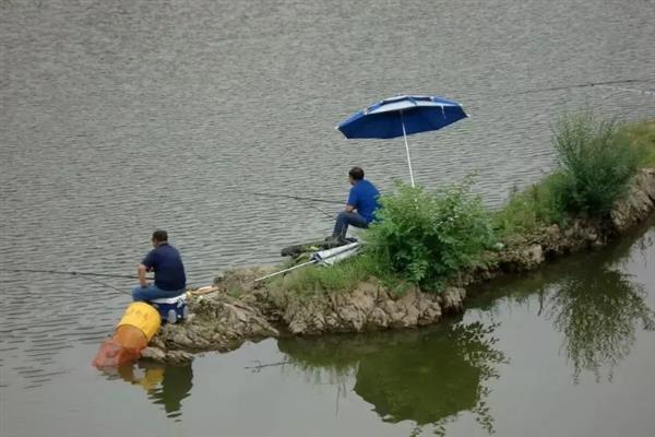 春天怎么钓鲫鱼，早春应该优先考虑钓底