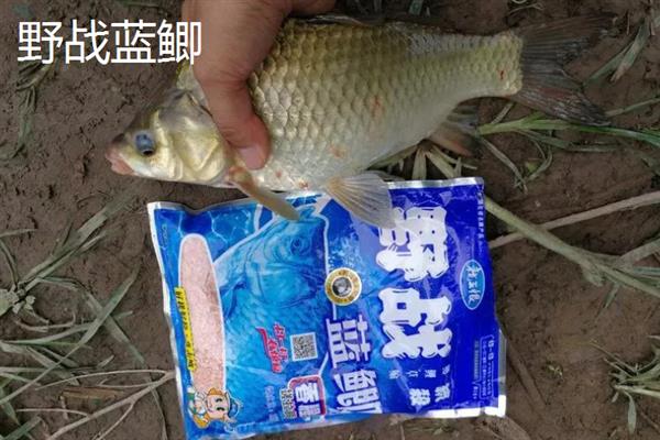 一品无双饵料的简介，属于腥味商品饵