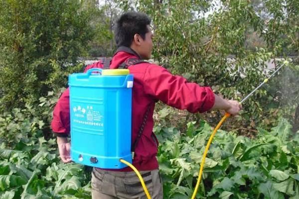 全水溶肥的特点，全水溶性、高效吸收、使用方便