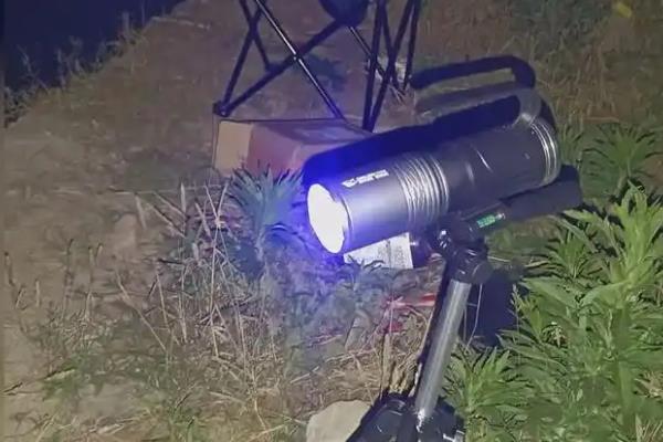 夜钓能用蓝光灯吗，很多情况下蓝光是被禁用的